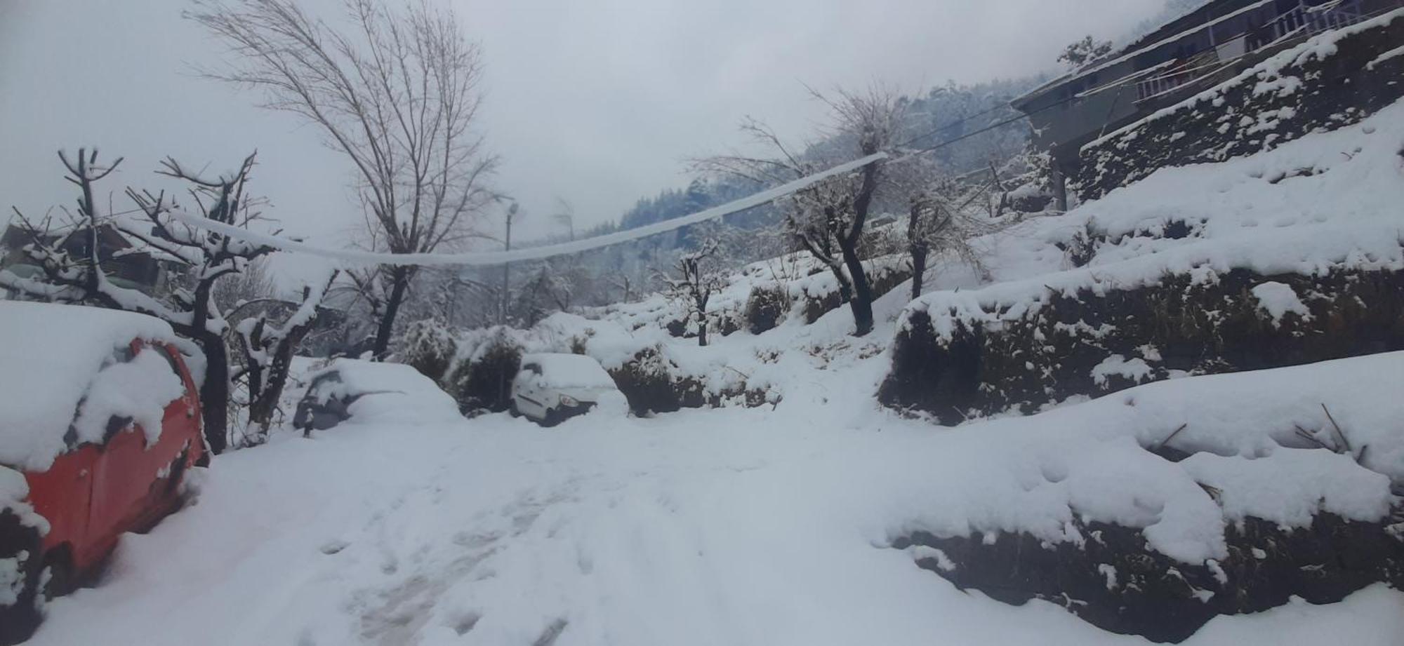 Hostel The Homstel Manali Zewnętrze zdjęcie