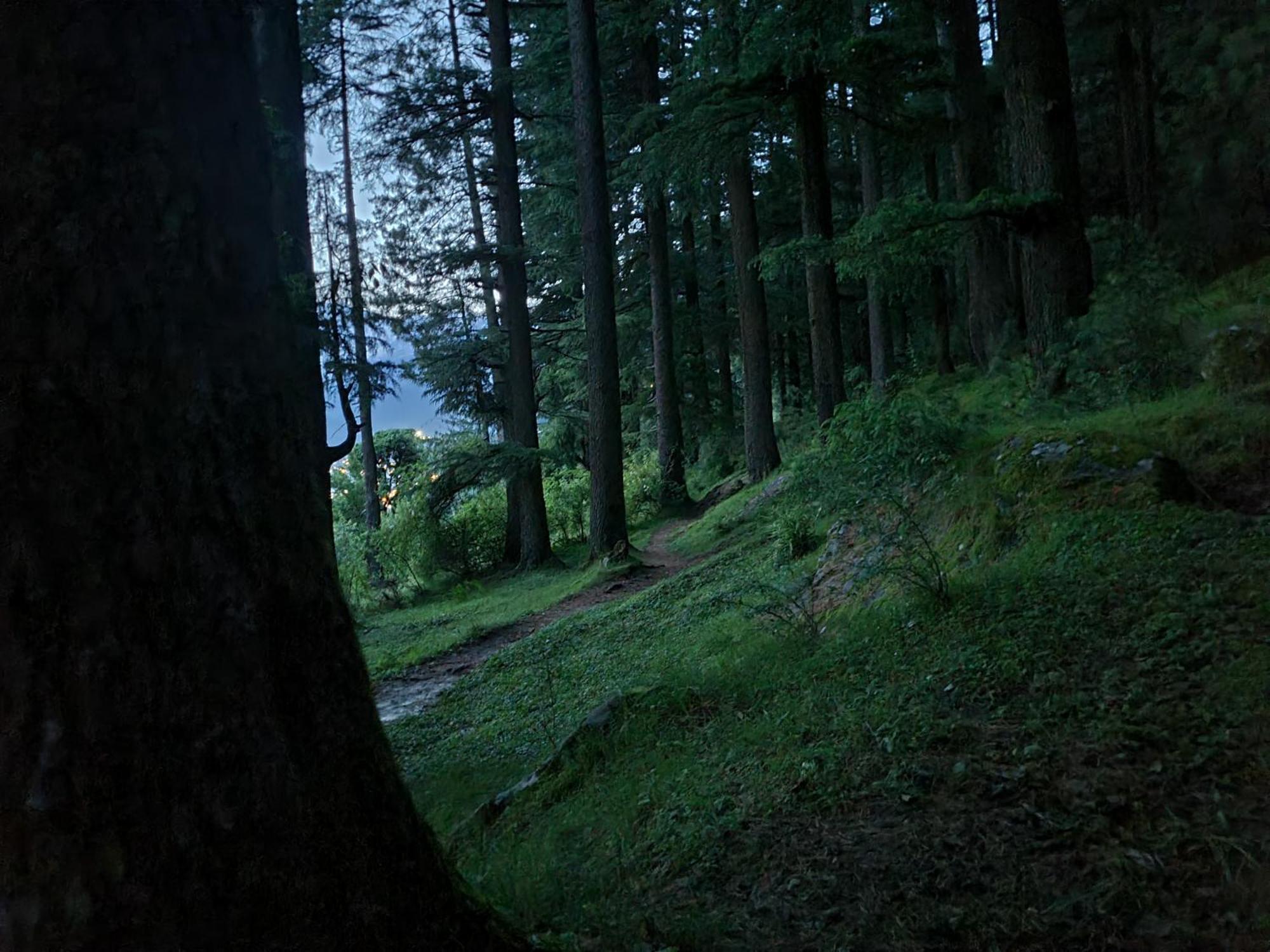 Hostel The Homstel Manali Zewnętrze zdjęcie